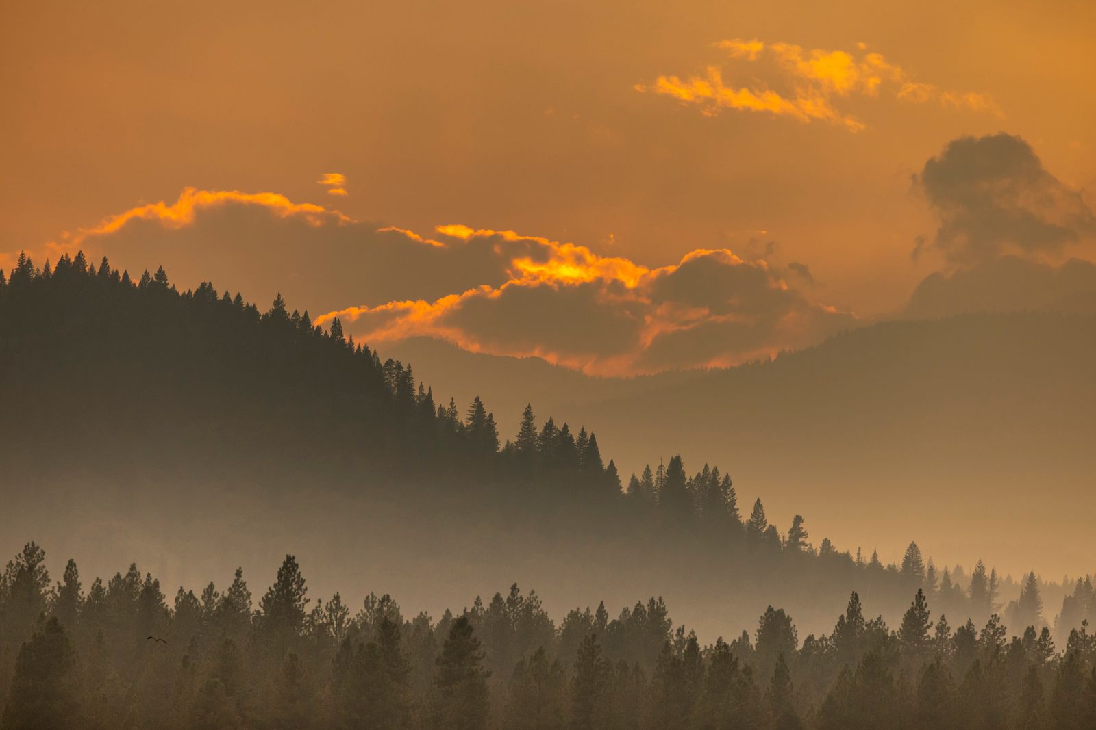 Misty mountains at golden sunset